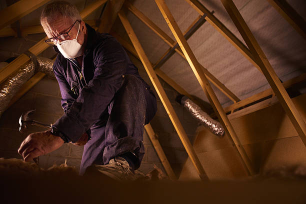 Best Eco-Friendly Insulation in Heeia, HI